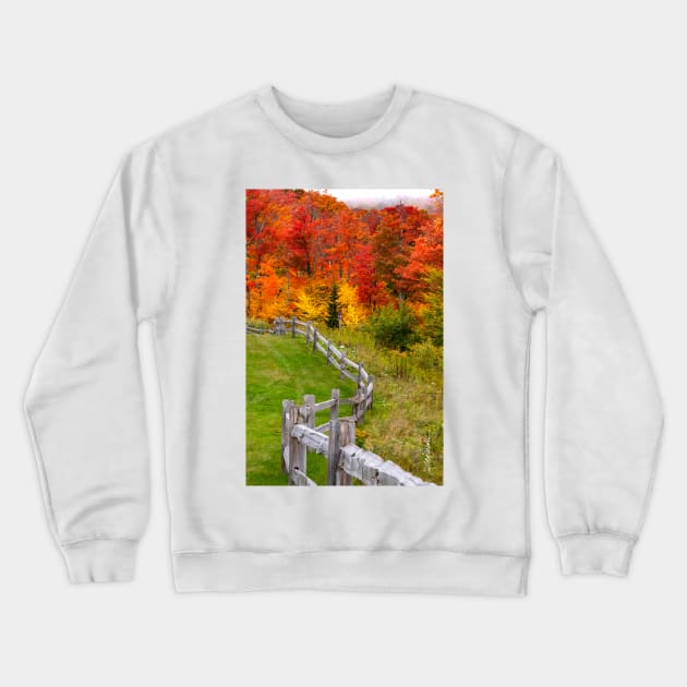 Southridge Autumn Fence Crewneck Sweatshirt by srwdesign